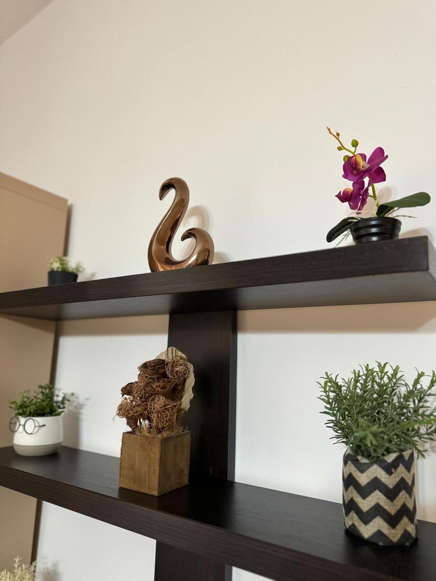 Ada'S Luxury Apartament&Studio - Old City Brasov Ngoại thất bức ảnh